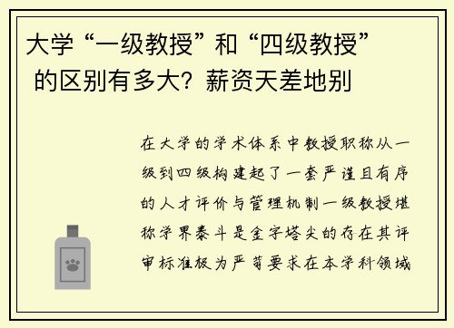 大学 “一级教授” 和 “四级教授” 的区别有多大？薪资天差地别