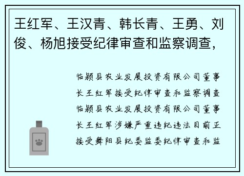 王红军、王汉青、韩长青、王勇、刘俊、杨旭接受纪律审查和监察调查，聂明合被开除党籍和公职